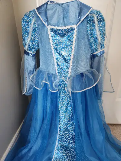 Once worn peinces elsa costume. Size 7-8