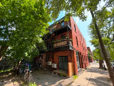Colocataire recherché, grand 6.5 - Roomate wanted, large 6.5