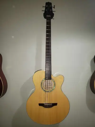 Model # EG512CGFG with TK-40B pick up. Strings boiled and frets clean fretboard oiled up. plays grea...