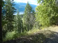15 acres in the Kootenays of BC- reduced price