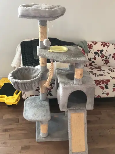 cat climber , View more