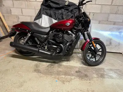 2016 Harley 750 in Mint Condition. Great first bike. Only 5276km. Serious Buyers Only