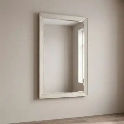 Large Vertical Decorative Wall Mirror (80 × 40 cm), View more
