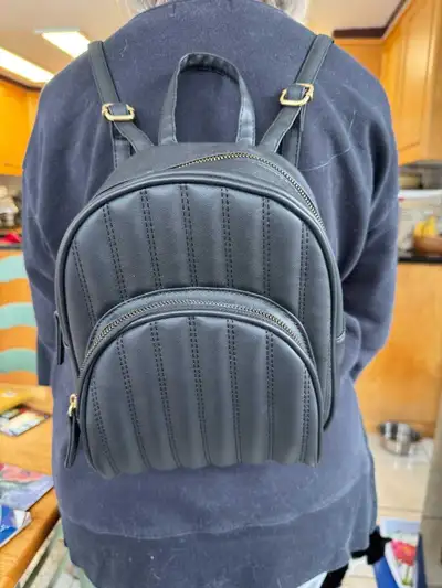 north face backpack white and blue The Vault in Shady Blue/TNF Real Littles HELLO KITTY Black Friday Deals Color:Odyssey Combo this backpack is designed