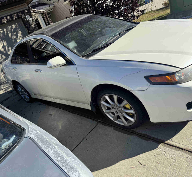 -07 TSX 6spd in Cars & Trucks in Calgary - Image 2