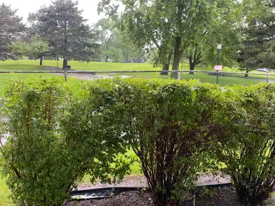 NOW AVAILABLE CONDO CORNER GROUND LEVEL PATIO/BACKYARD ENTRANCE! ALL-INCLUSIVE Big Corner Apartment...