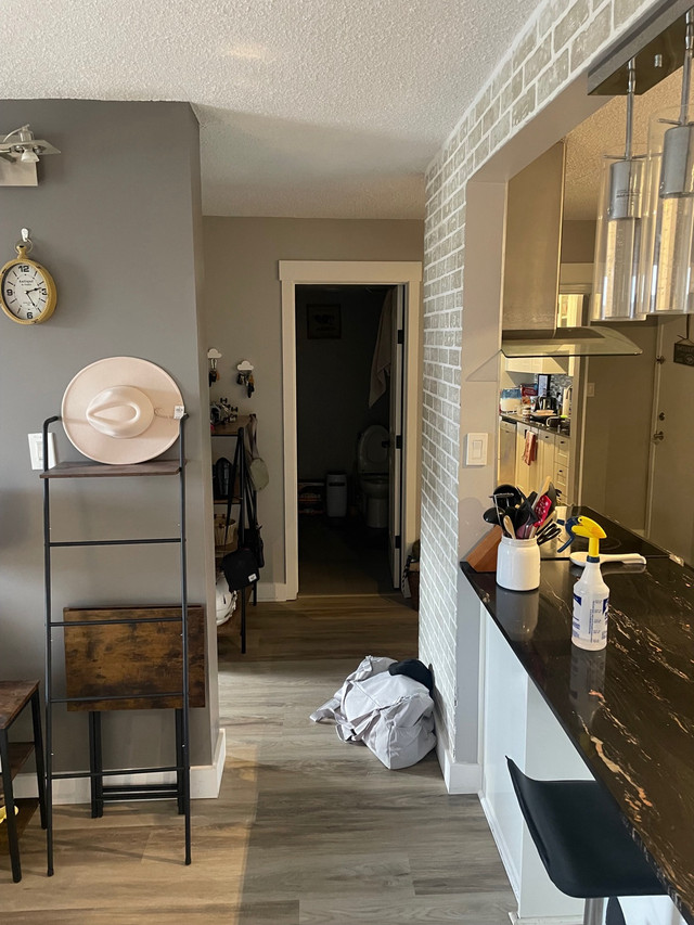 1 Bedroom apartment in Long Term Rentals in Calgary - Image 3