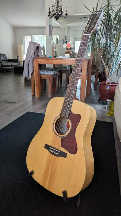 NORMAN B20 guitar...like new mint SAVE $$$, View more