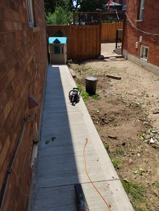 Tree Removal services Branch Trimming # 6475143001 in Lawn, Tree Maintenance & Eavestrough in Mississauga / Peel Region - Image 9