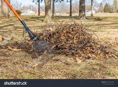 HELP CLEAN UP YARD..., View more