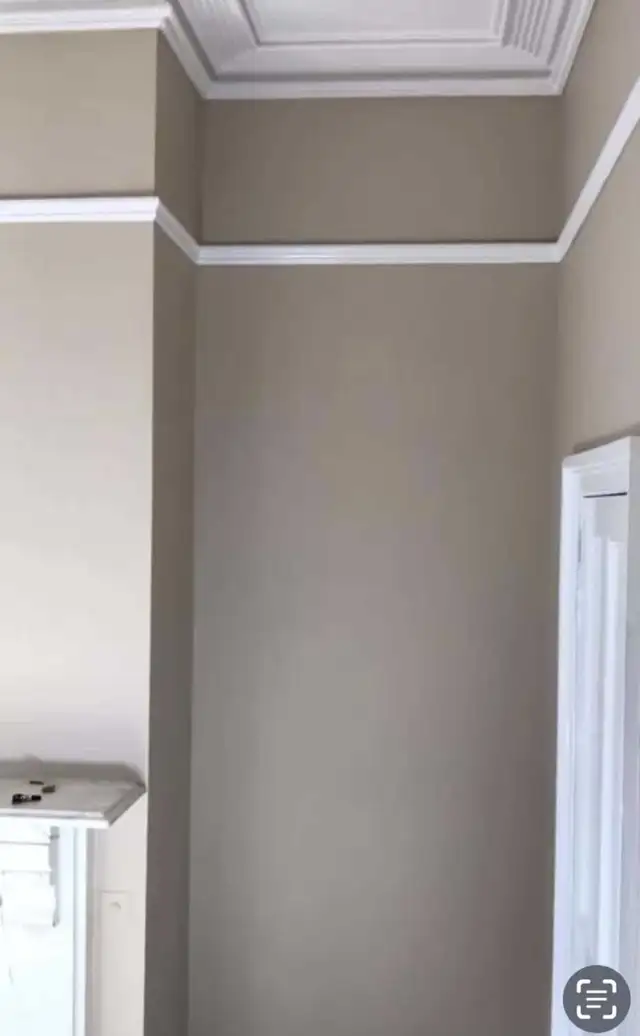 PROFESSIONAL PLASTERER 593256049374013443
