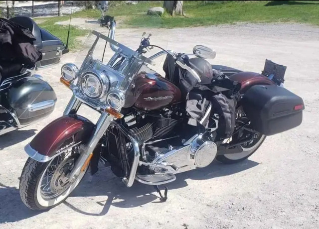 2018 Harley Davidson FLDE Softail Deluxe in Street, Cruisers & Choppers in Ottawa - Image 2