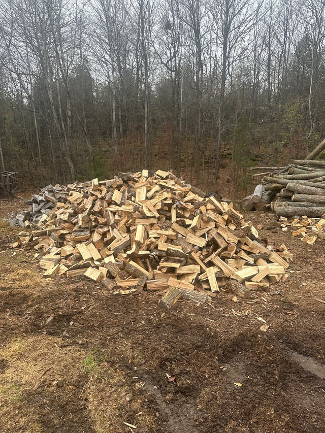 Firewood  in Other in Kingston