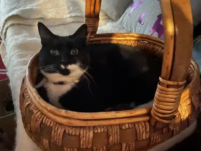 rescue ❤️Sweetest girl, View more