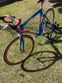 Trek 5200 series Tri Bike