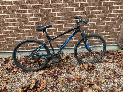 Diamondback Moonraker mountain bike (Youth medium frame), View more