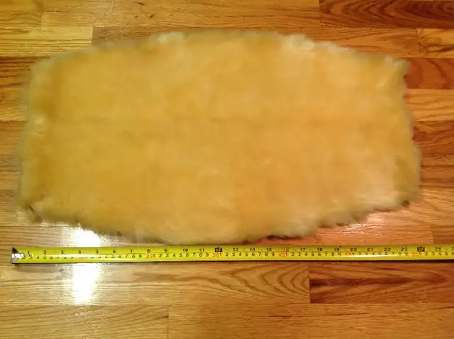 Taxidermie: peau de phoque (blanchon) in Other in Rimouski / Bas-St-Laurent - Image 6