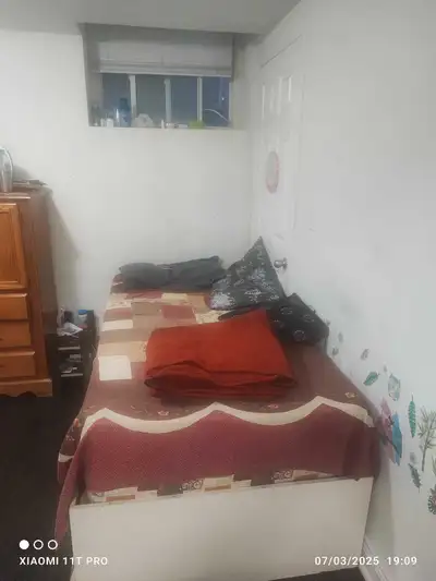 Shared basement room from today,15 th july or 1 st August