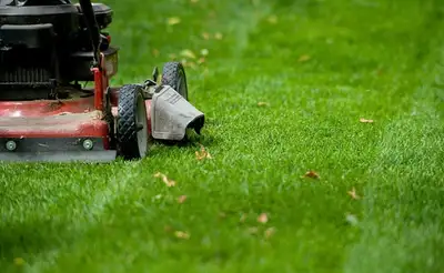 Lawn Mowing Services – Barrhaven, View more