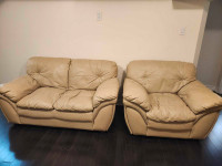 Free Couch (LoveSeat and Chair)