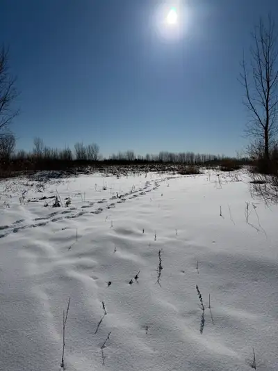 Terrain ou maison à rivière ouelle sur le chemin de la pointe :) retraite