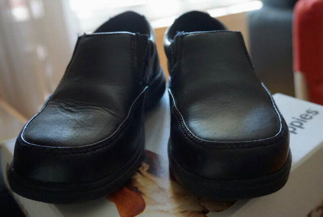 Dress shoes - Hush Puppies, Size 11.5 (29 EUR) in Clothing - 4T in Oakville / Halton Region