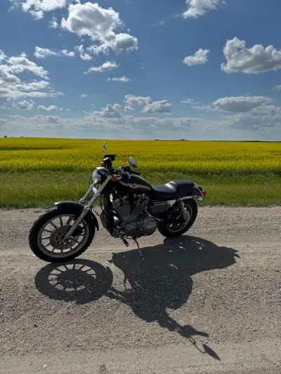 Was planning on building a flat tracker with it but plans changed. Bike comes with a fresh safety an...