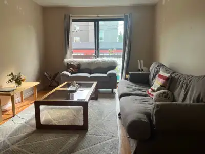 Furnished room in a centrally located 2 level apartment. Shared living space (kitchen/livingroom/2 b...