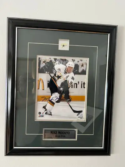 mike modano photo 161/2 x 201/2 on picture  frame, View more