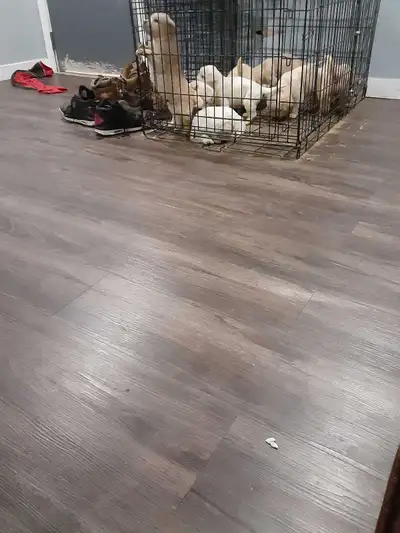 message for more details please, View more