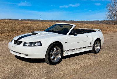 Very Clean 2003 Ford Mustang GT Convertible