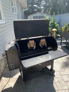 For Sale Traeger Smoker63347539165441121