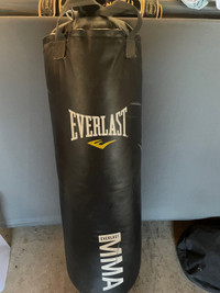 Punching bag and boxing gloves 