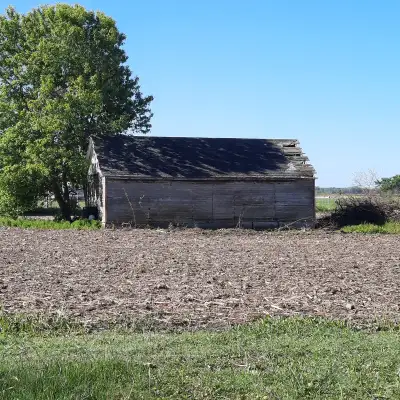 We have a small old mini-barn in our field. The barn board siding is weathered to a nice silver colo...