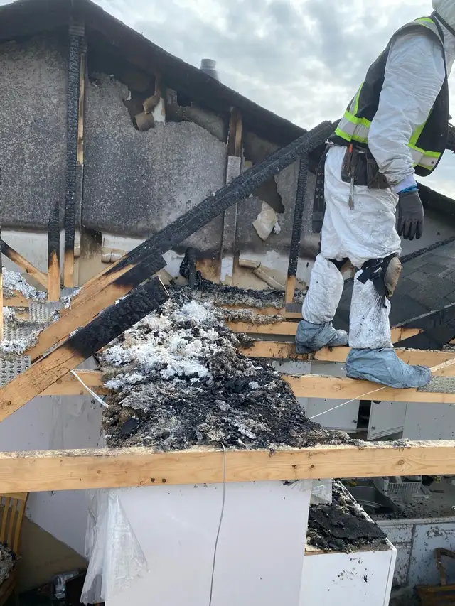 Demolition & Construction Services