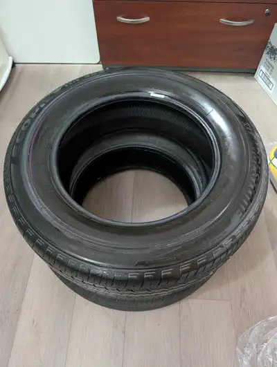 A good pair of all season tires. Many tread left. No issues.
