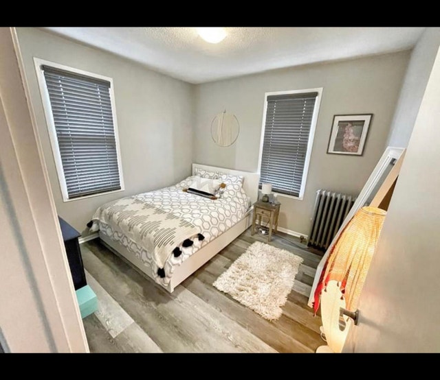 Olde Walkerville/Apartment/2 BD/1BA Long Term Rentals Windsor