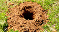 Post hole digging services 