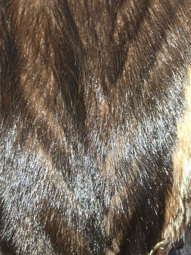 MANTEAU DE VISON RENARD in Women's - Tops & Outerwear in Granby - Image 4