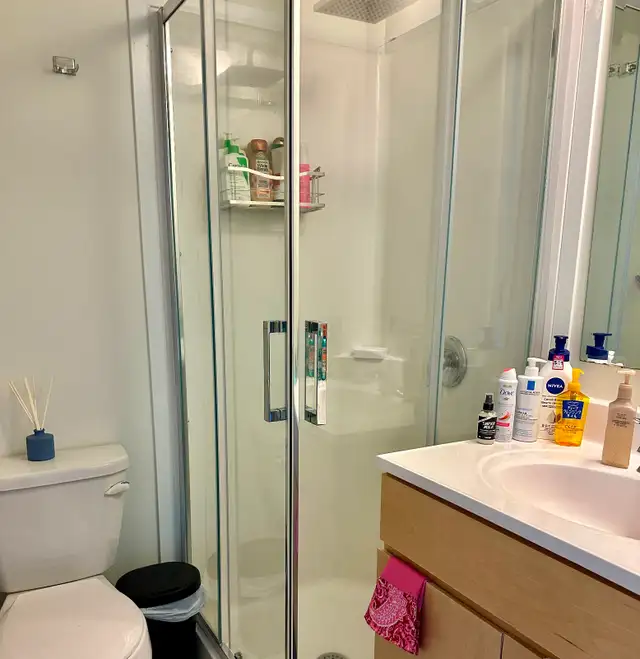 Room for Summer Rent with Own Bathroom in Room Rentals & Roommates in Ottawa - Image 3