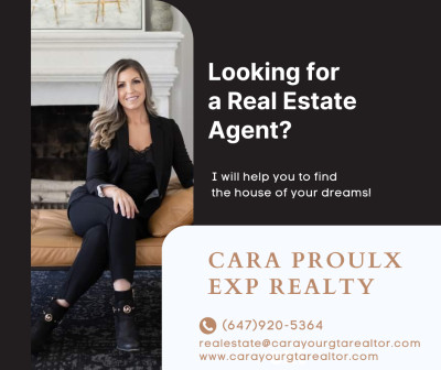 Real Estate Agent