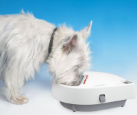 BNIB automatic pet feeder 3 meals  cats or dogs wet dry raw food