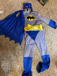 Batman Halloween Costume