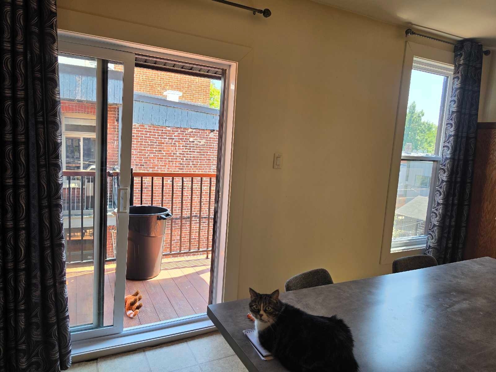 Spacieux 61/2 à louer — photo 3