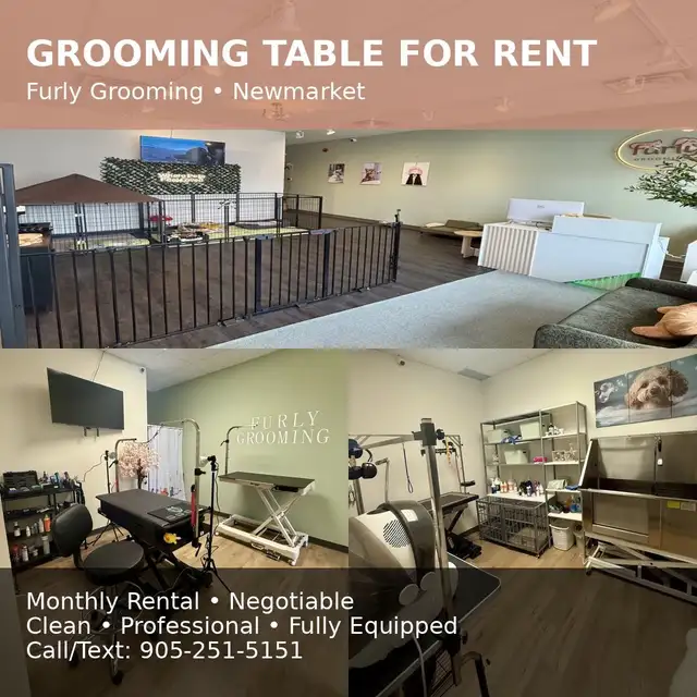 Grooming Table for Rent – Newmarket