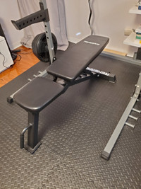 Adjustable bench (6 positions)