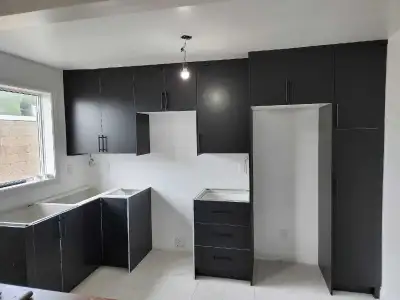 Professional cabinet installers and carpenters 647 741 0572
