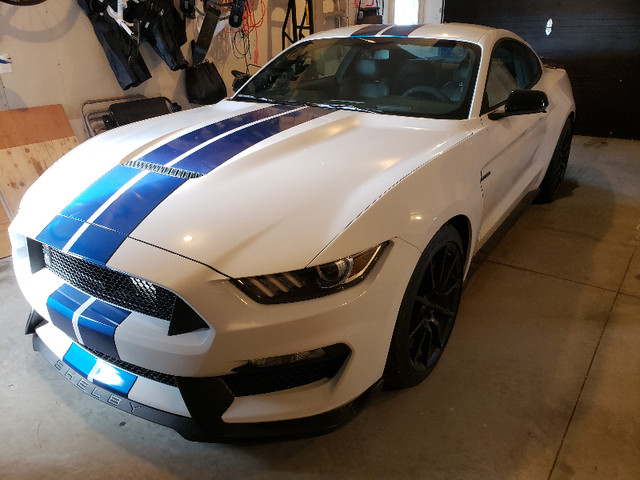 *Rare* 2018 Ford Shelby GT350 in Cars & Trucks in Saskatoon