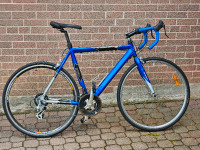 Highly Upgraded Medalist Large Road Bike