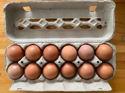 Free Range Brown Eggs 6$/dozen, View more